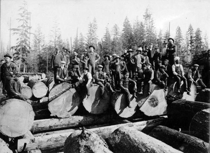 Dozens of white or European, Japanese, and South Asian immigrant workers – all men – pose for a picture on five huge logs, whose tree rings are exposed. They sit and stand on the logs. One worker holds a baby. A forest is visible in the background.